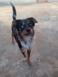 Duke