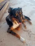 Duke