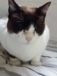 Yuri lindo demais !!
