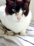 Yuri lindo demais !!