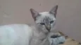 Natacha (Nath) 