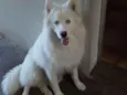 Billy