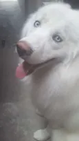 Billy