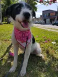 JULLY