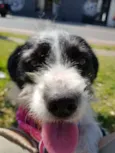 JULLY