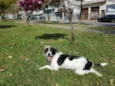 JULLY
