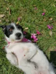 JULLY