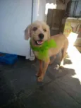 Lucky