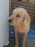 Lucky