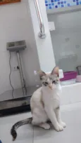 Nina