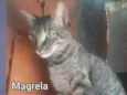 Magrela