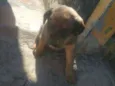 Hera