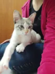 Nina