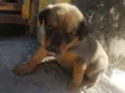 Hera