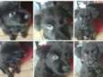 Trudy