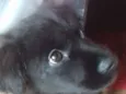 Trudy