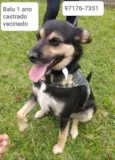 Balu