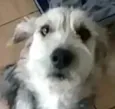 Miguel