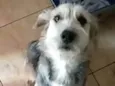 Miguel