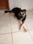 Jack