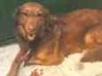 Mel