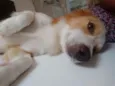 Nick