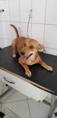 Kiara