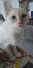 Felicia 