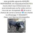 Adoção Urgente