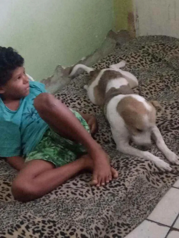 Cachorro ra a Indefinida idade 1 ano nome Jujuba