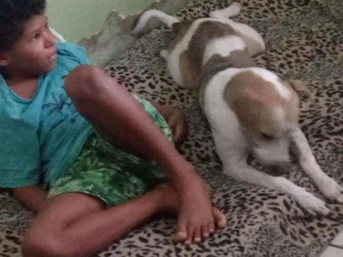 Cachorro ra a Indefinida idade 1 ano nome Jujuba