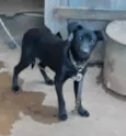 Zulu
