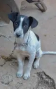 Ralf 