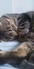 Julio e Cleo