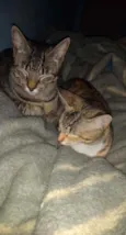 Julio e Cleo