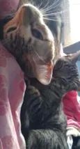 Julio e Cleo