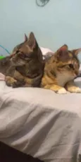 Julio e Cleo