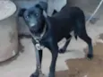 Zulu