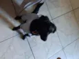 Lucy