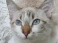 PABLO MIX