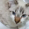PABLO MIX