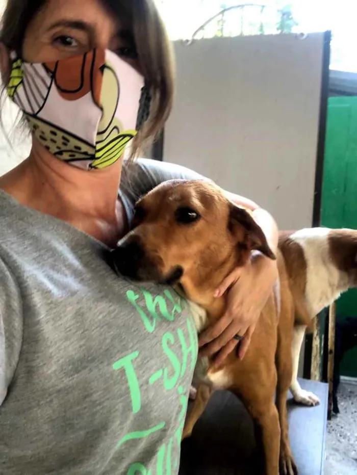 Cachorro ra a SRD idade 1 ano nome Caramelo