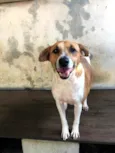 Bob