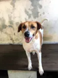 Bob