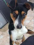 Desconhecido