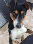 Desconhecido