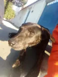 Não sei