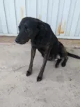 Não sei