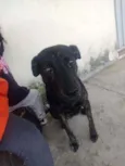 Não sei