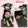 Pietra